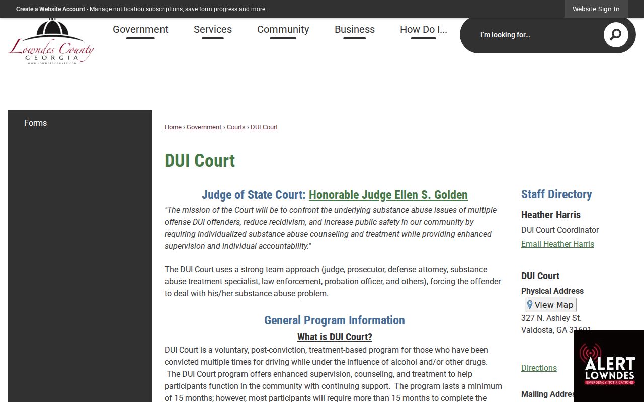 Lowndes County criminal docket DUI Court resources