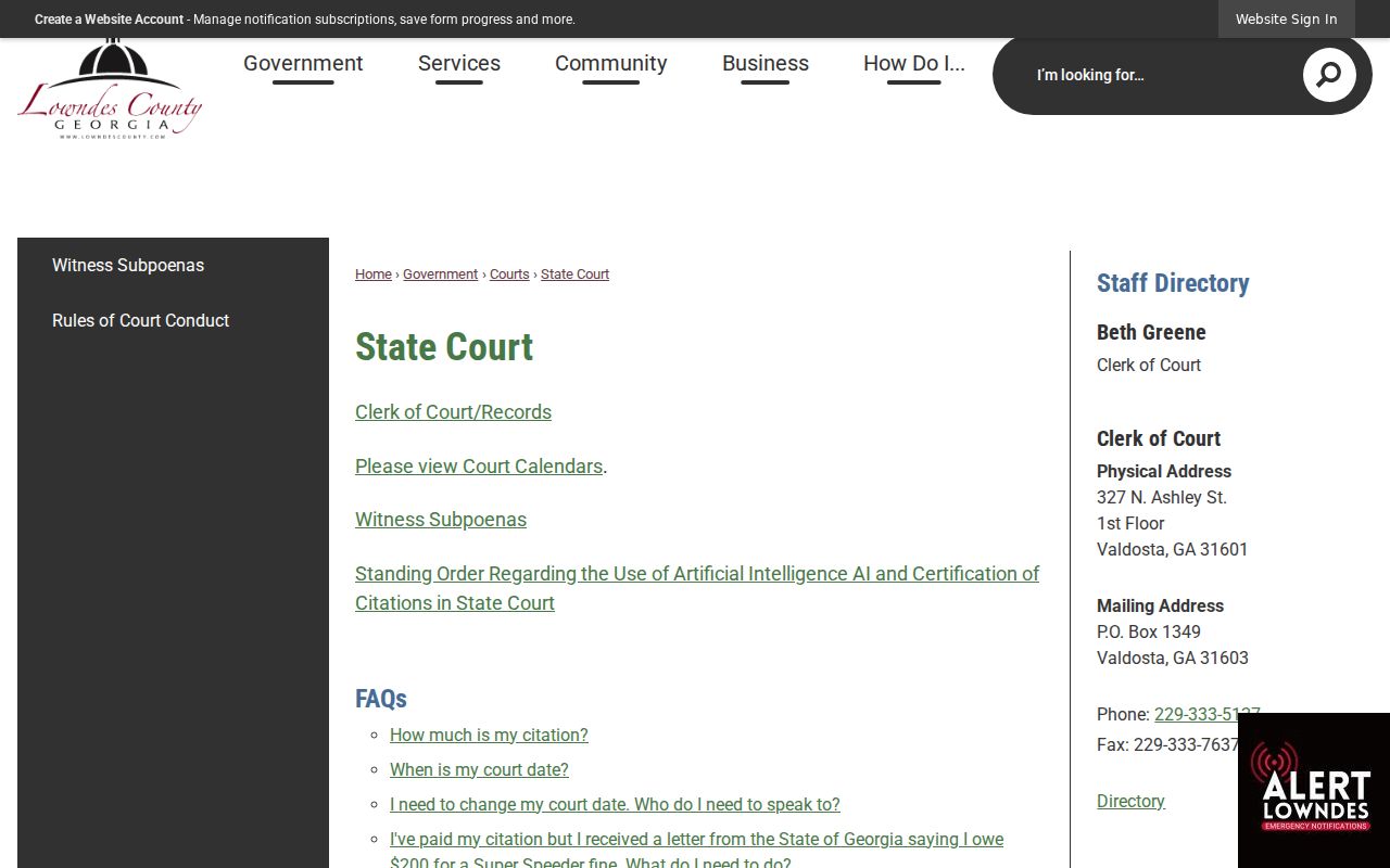 Lowndes County criminal docket State Court access